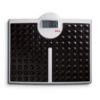 Picture of SECA 813 – Digital Flat Scale with Very High Capacity