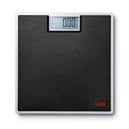 Picture of SECA 803 - ELECTRONIC FLAT SCALE